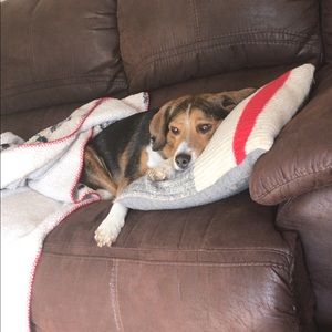 Meet your Posher, Mel